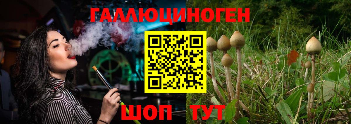 Псилоцибиновые грибы прущие грибы Новомосковск