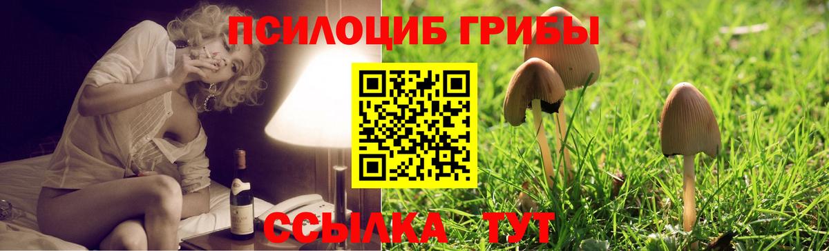 Псилоцибиновые грибы мицелий  Вход с VPN  Новомосковск 