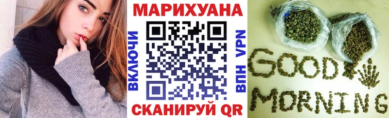 Бошки марихуана гибрид  цена наркотик  Новомосковск 